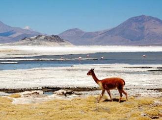 Si prosegue per i villaggi fantasma di Humberstone e Santa Laura, dichiarati Patrimonio dell Umanità dall UNESCO.