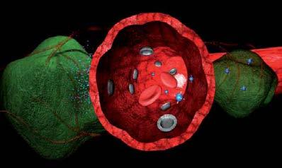 Il futuro è oggi: nanotecnologie per ottimizzare la ricerca farmaceutica Nanotecnologia: studio e controllo della materia alle dimensioni comprese tra 1 e 100 nanometri.