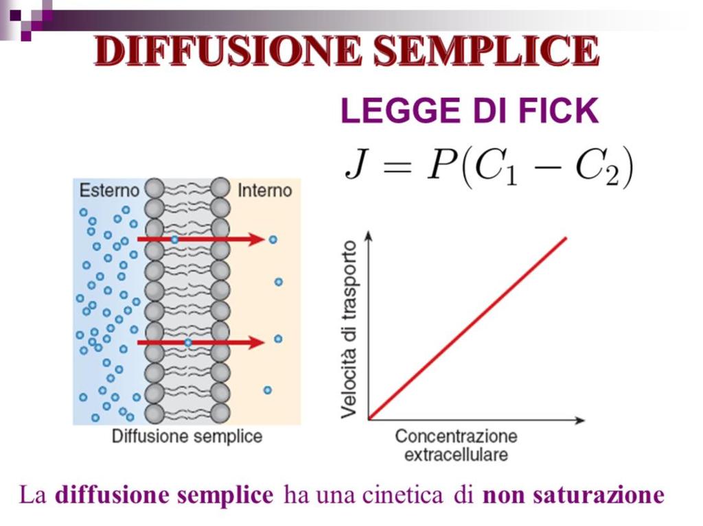 La legge di Fick suggerisce che nel caso di una diffusione condizionata esclusivamente da processi