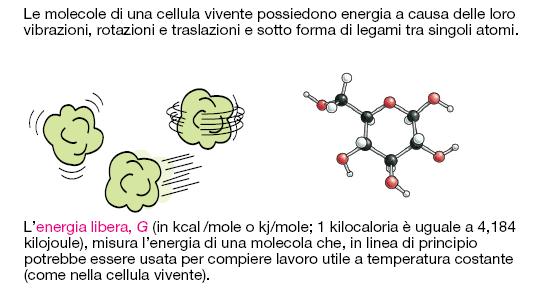 Ma cosa significa reazione favorita o reazione sfavorita?