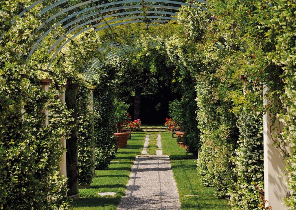 Immerso nel verde della Franciacorta, a due passi dal lago e dalla riserva naturale delle Torbiere del Sebino, l hotel Iseolago è il luogo ideale per un soggiorno all insegna del relax.