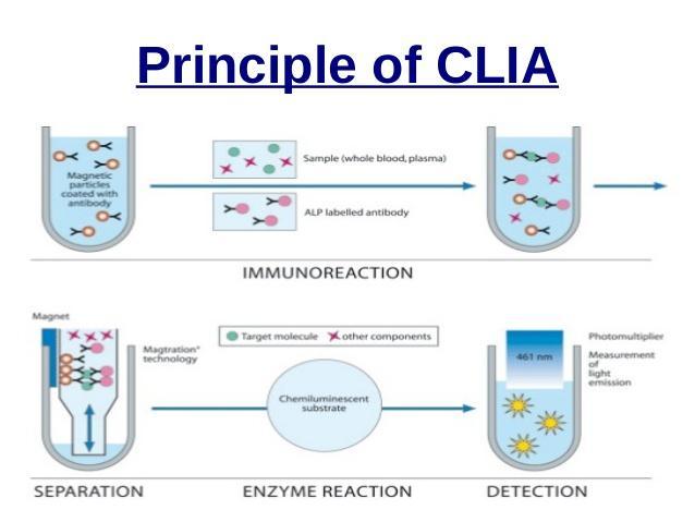 CHEMILUMINESCENCE IMMUNOASSAYS (CLIA) Come l ELISA, la CLIA è un dosaggio eseguito in modalità eterogenea, cioè con l