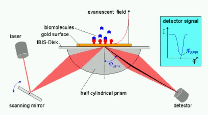 SURFACE PLASMON RESONANCE (SPR) La risonanza plasmonica di superficie (SPR) è il risultato dell eccitazione del plasmone di superficie (cioè onde elettromagnetiche) per