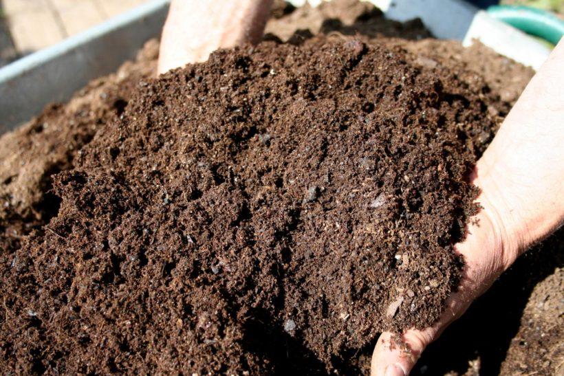 Definizione Il termine sostanza organica del suolo include una componente vivente costituta da funghi, alghe, batteri, lombrichi e organismi appartenenti a diversi Phila animali vertebrati e