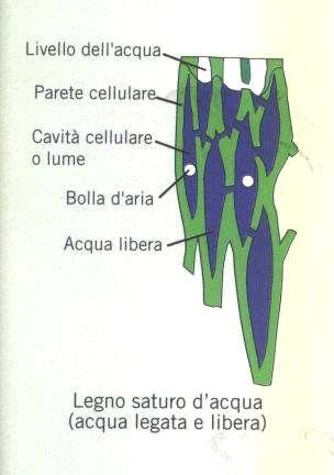 Saturazione Questa fase è presente acqua legata e libera note: 1. Non è un processo esotermico 2.