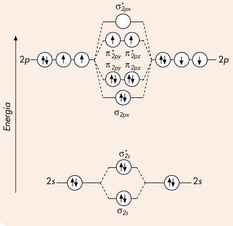 paramagnetico (e spaiati) fortemente instabile diamagnetico (e appaiati) più stabile Superossido, (SuperOssidoDismutasi lo decompone in O 2 e H 2 O 2 ) paramagnetico (e spaiati) Configurazione della