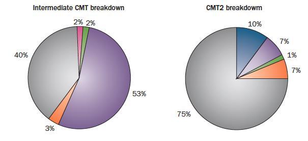 neuropathy CMT motor neuropathy