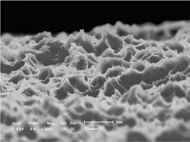 Evoluzione continua e garanzia di sicurezza La superficie NeoPoros si ottiene utilizzando un processo di sabbiatura con ossidi a granulometria controllata per