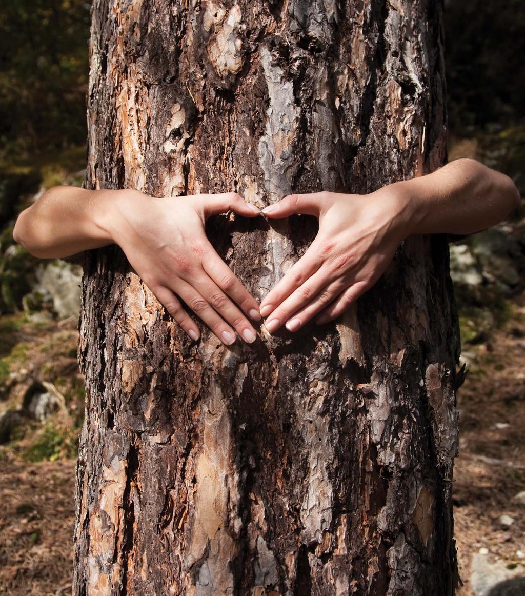 Passione per il legno, cultura della protezione Il legno è un materiale antico e vitale.