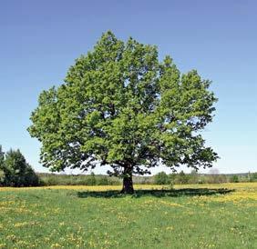 a ovest (da sud-est a nord-ovest), le condizioni climatiche sono considerate estreme.