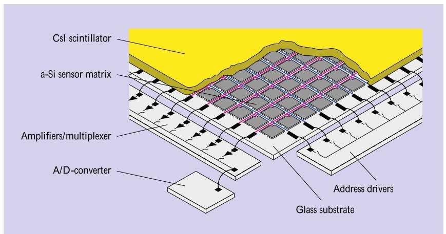 Schema costruttivo di un flat-panel: il primo strato in Ioduro di Cesio converte gli X-ray in fotoni.