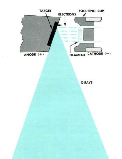 Diagramma schematico