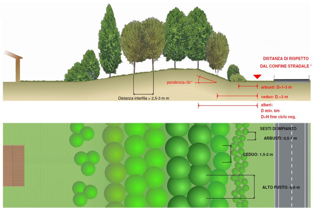 8 ALLEGATO I SCHEDE OPERE TIPO 8.1 INTERVENTI DI MITIGAZIONE AMBIENTALE CON OPERE A VERDE REALIZZAZIONE DI DUNE INVERDITE [ *: Confine stradale [art.