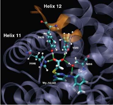 Forze di van der Waals Debole attrazione intermolecolare causata da dipoli molecolari indotti. Es.