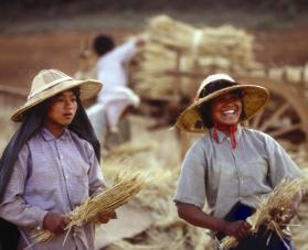 L'INNOVAZIONE IN IN AGRICOLTURA Il ruolo degli Il ruolo