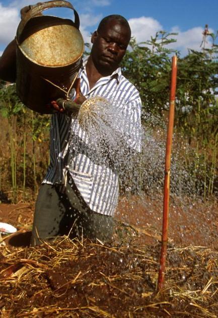 Innovazione in agricoltura: cosa è?