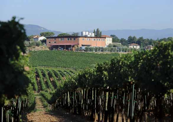 Cantine Bonacchi has a very modern wine-making and bottling plant composed of two lines: one dedicated exclusively to Bordeaux bottles, fully automated, which has a production