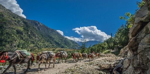 Da questo villaggio le vedute iniziano ad essere incredibili: avremo dinanzi l Annapurna South (7.219 mslm), il Machapuchare (6.993 mslm), il Dhaulagiri I (8.167 mslm) il Dhaulagiri II (7.751 mslm).