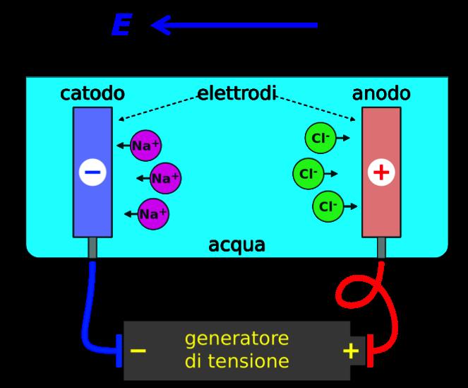Immergiamo nella soluzione elettrolitica due elettrodi e stabiliamo fra essi una differenza di potenziale.