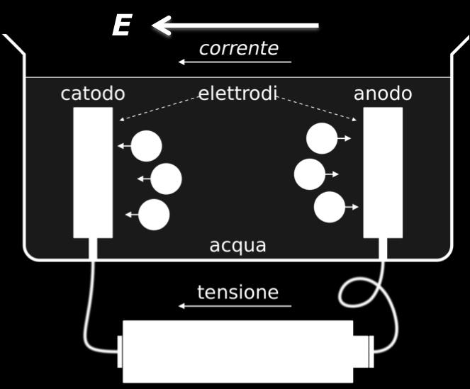 gli ioni positivi (cationi) verso l'elettrodo negativo (catodo) e quelli negativi (anioni) verso