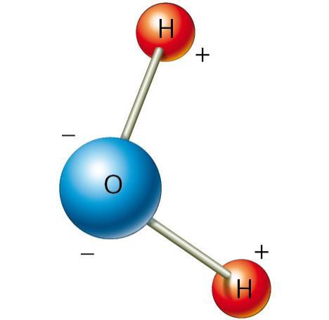 L azione demolitrice delle molecole di acqua è dovuta alla loro natura polare.