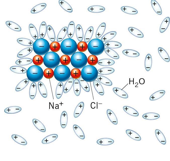 Le molecole di acqua, penetrando nel reticolo cristallino, schermano la carica elettrica degli