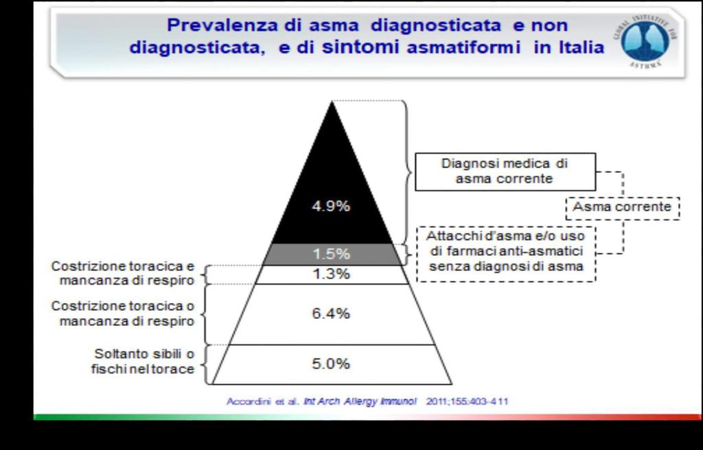 patologia