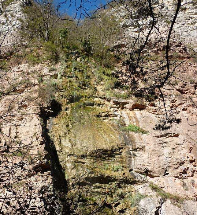 N. 168 Ambiente e Natura Parete calcarea con stillicidio di acqua Pregio ambientale Stenico Forra Limarò Valore ambientale per tipicità di habitat e formazioni vegetali