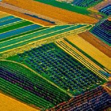 PALETTE DEI COLORI ISTITUZIONALI La palette cromatica per la declinazione del marchio e delle