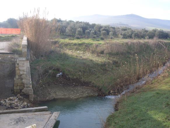 Nel presente Progetto preliminare si è analizzata la situazione del Torrente a partire dalla confluenza nel Torrente Gravina (sez. 0) sino all attraversamento della S.P. 158 Annunziatella, per un tratto dello sviluppo lineare complessivo di circa 930 ml.