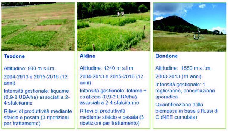 Sezione 4.2 RELAZIONE TECNICA 2 Materiali e metodi 2.