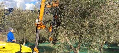 Strong and reliable forestry head, built in Domex 700, ideal for the cutting of shrubs and reeds, up to a diameter of 12 cm.