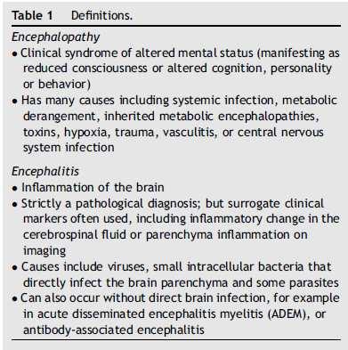 Encefalite infettiva: definizione (tratta da