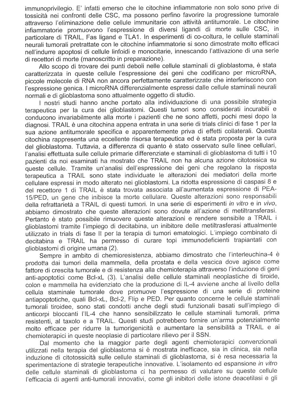 Camera dei Deputati 25