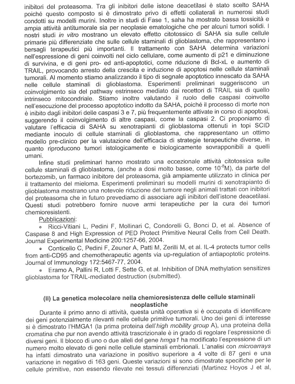 Camera dei Deputati 26