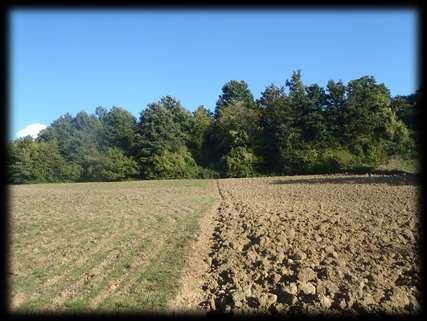 del terreno agrario nelle aree collinari e montane attraverso l introduzione nelle aziende