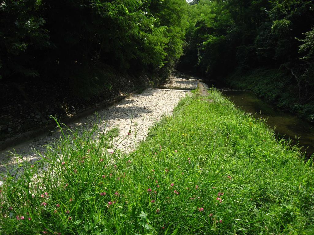 immagine) e il torrente Rosper (a destra)