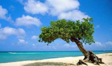 È nota per essere l isola dei Caraibi con più giorni di sole all anno, ed è per questo che è considerata una meta ideale per tutte le stagioni.
