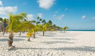 Manchebo - L hotel è ubicato sulla bellissima spiaggia di Eagle Beach, a pochi minuti di auto dal centro della capitale Oranjestad.