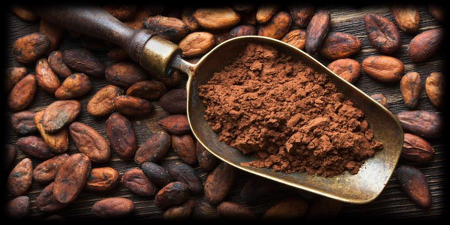 Ferro (Fe) Il Fe contenuto negli alimenti di origine vegetale (cacao, crusca e germe di