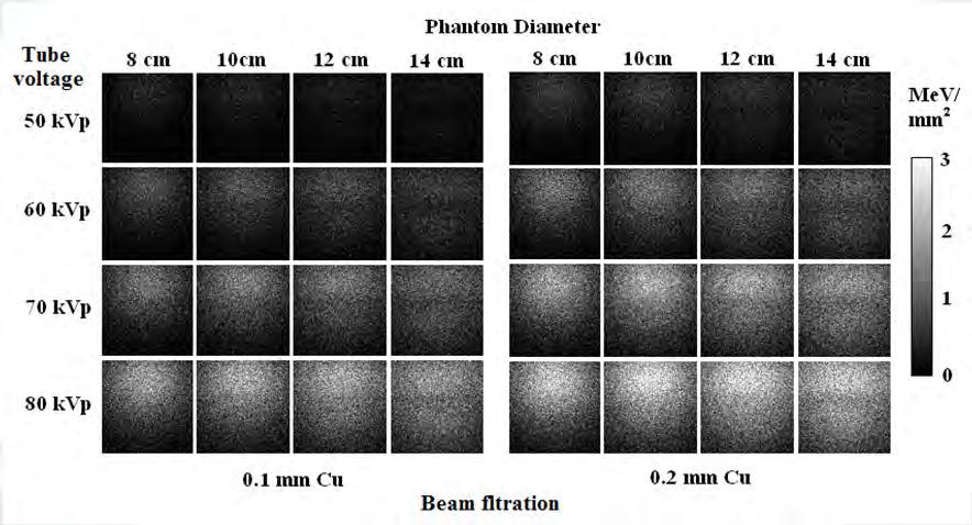 Past experience in using Monte Carlo for simulating BCT devices for evaluating the