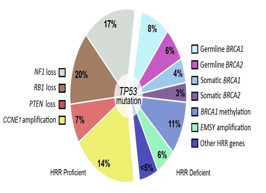 Selecting patients for PARP inhibitor treatment: consideration of somatic BRCA Maintenance studies Study Agent sbrca PFS HR (95% CI) gbrca PFS HR (95% CI) Study 19 1 Olaparib vs placebo 0.23 (0.04-1.