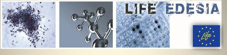 Functional and morphological study of cells in connected culture in response to interactions associated with nanoparticles Nadia Ucciferri CNR Pisa Further development of the NCTC 2544 Il-18 assay to