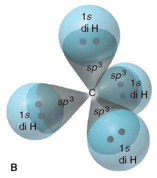 L evidenza sperimentale dice che nella molecola di metano (CH 4 ) i 4 legami sono