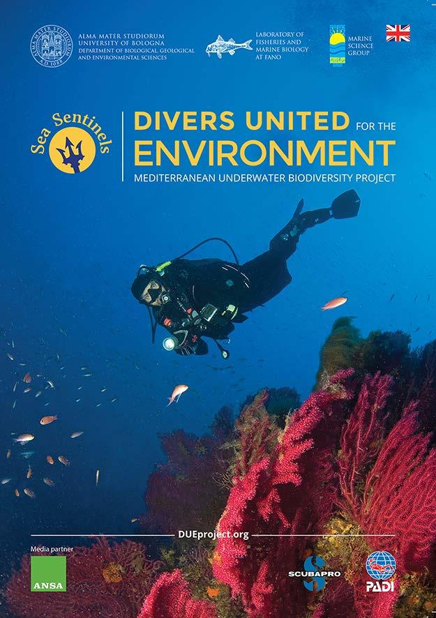 IL PROGETTO DELLE SENTINELLE DEL MARE Sea Sentinels Divers United for