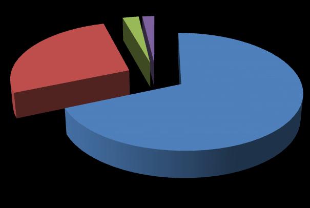 Licenza media 2% Altro titolo 2% Titolo di studio Diploma di maturità 27% Laurea 69% La partecipazione e considerazioni sui laboratori Il primo contatto con il progetto