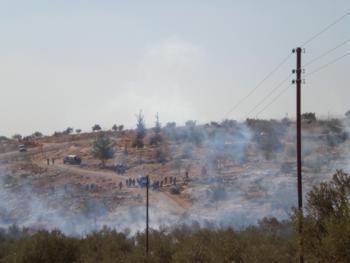 Resistere per esistere Dichiarazione finale della Terza Conferenza di Bil'in sulla Resistenza Popolare Non-violenta, tenutasi nel villaggio di Bil'in nei giorni 4-6 giugno 2008 La Terza Conferenza di