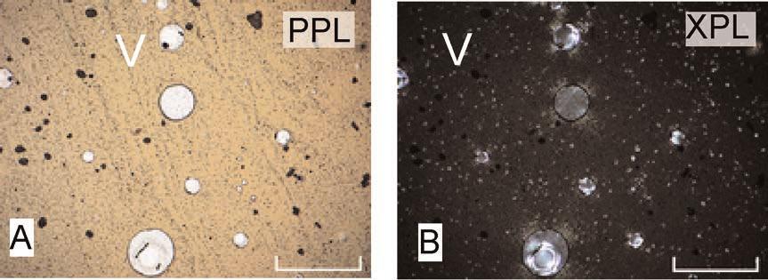 Grado di cristallinità 7 zazione di parte della roccia) seguito da un raffreddamento velocissimo del magma rimanente.