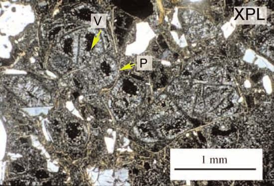22 Altre tessiture vulcaniche Fig. 1.41. TESSITURA POMICEA. Fortemente vacuolare con i vuoti (V) parzialmente o totalmente rienpiti da calcedonio secondario.
