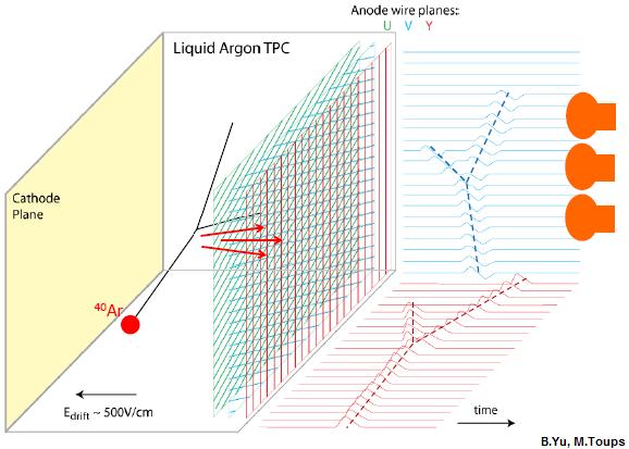 LArTPC per Fisica dei Neutrini Raccolta di carica di ionizzazone in una LArTPC Tecnologia LArTPC (Liquid Argon Time Projection Chamber): Principio operativo di una LArTPC Imaging: Ricostruzione